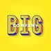 Logo Big Company