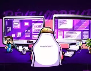 Développeur/Programmeur de jeux vidéo