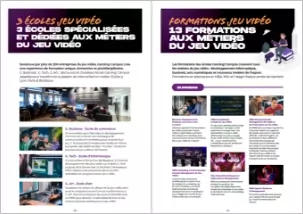 Orientation dans le secteur du jeu vidéo