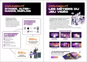 Orientation dans le secteur du jeu vidéo