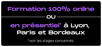 Formation 100% online ou en présentiel à lyon, paris et bordeaux Formation 100% online ou en présentiel à lyon, paris et bordeaux