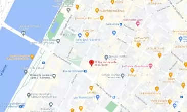 Lyon map