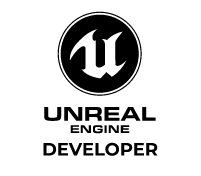 Unreal engine developer